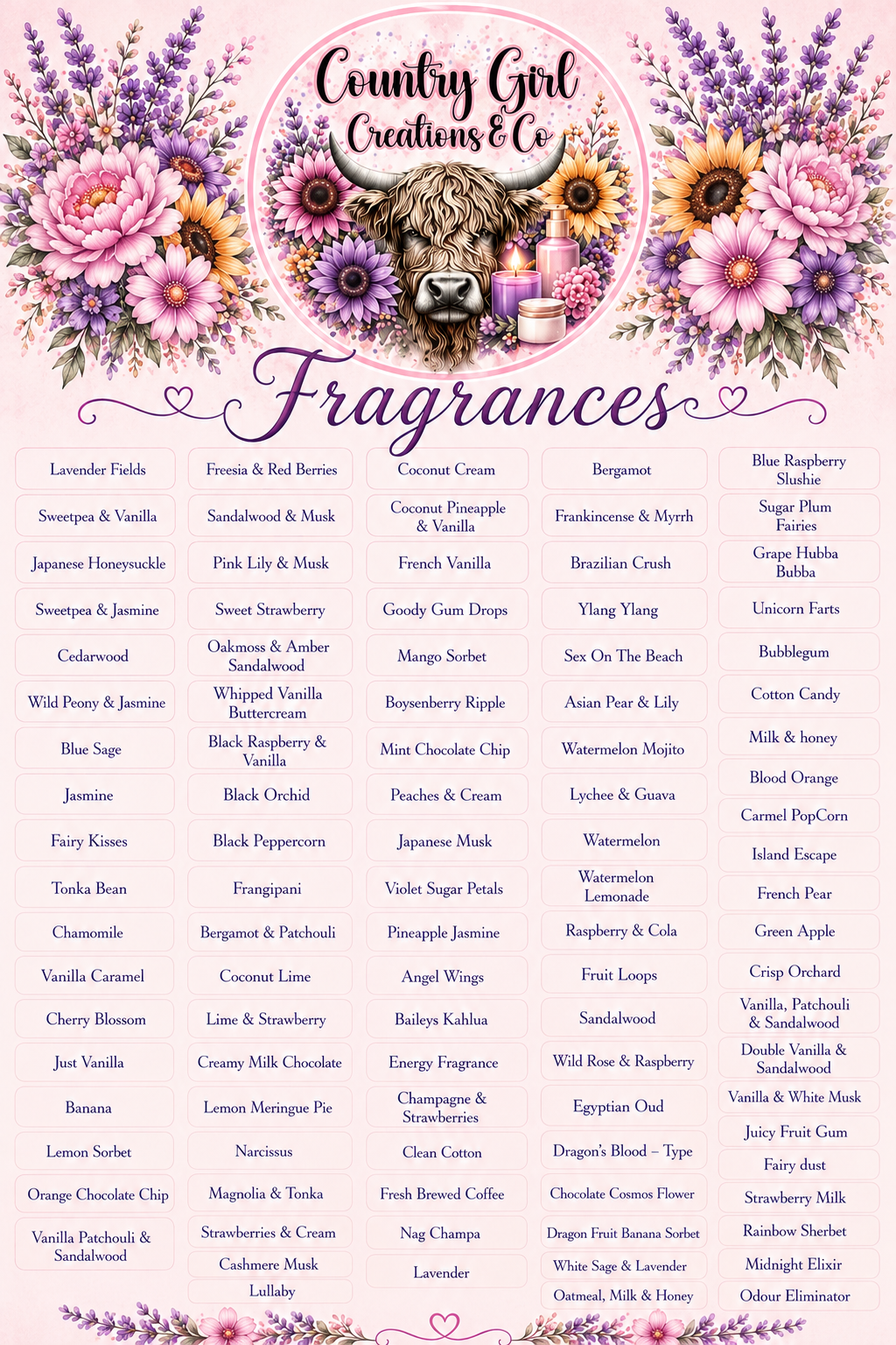 Shake N Vac