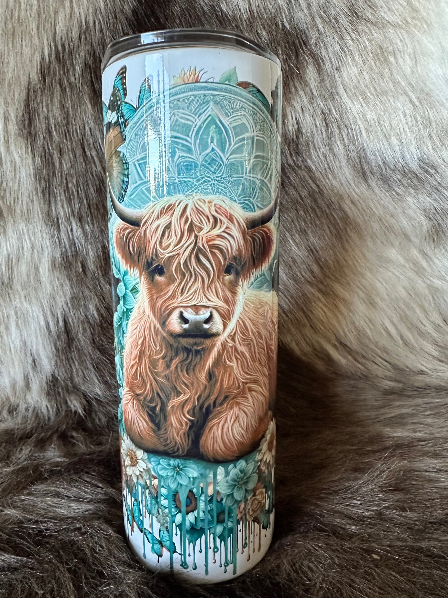 Highland Cow
